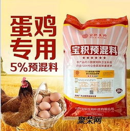 高效蛋雞預混料 實現雞蛋無腥味與產蛋期延長的科學方案