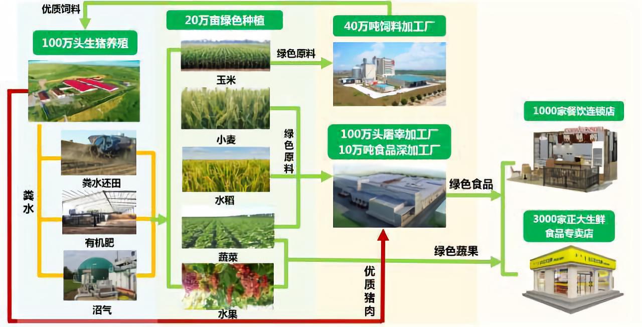 21世紀農業(yè)“接地氣”新篇章 種養(yǎng)結合模式的價值與商業(yè)機遇