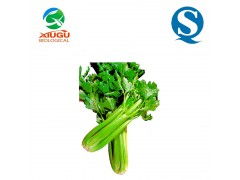 廠家直銷高品質(zhì)果蔬粉——芹菜粉，助力烘焙、膨化、固體飲料與飼料多元化應(yīng)用